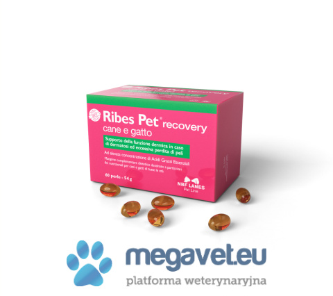 Ribes Pet cane e gatto 30/60 capsules (ILV)