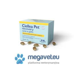 Ciellea Pet cane e gatto 30/60 kapsułek (ILV)