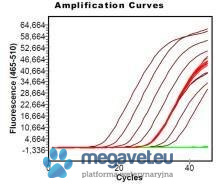 AmpliTest Babesia (Real Time PCR) [ALN]